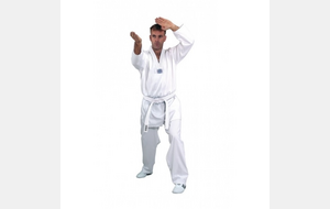 Dobok Taekwondo Keup - Hadan Plus floqué AEVB